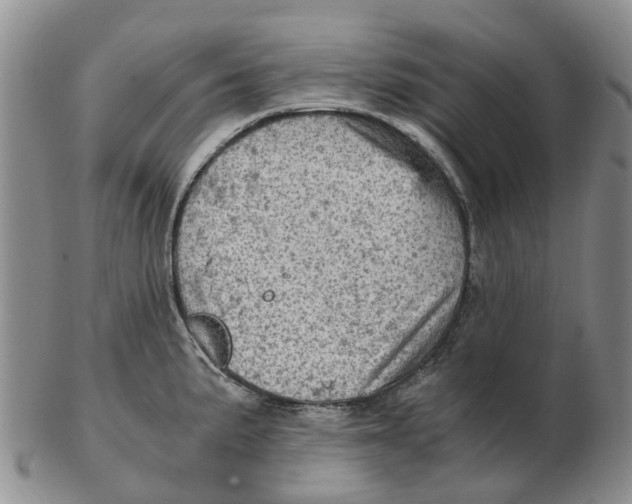 X0000103161191200809121831