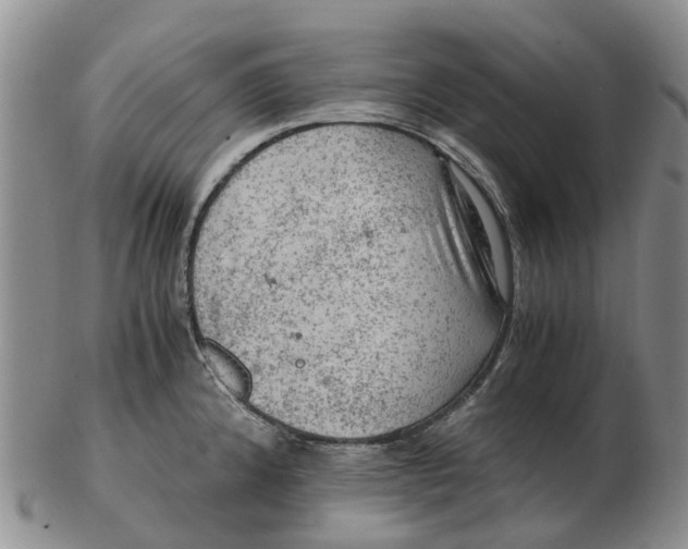 X0000103161192200809121831