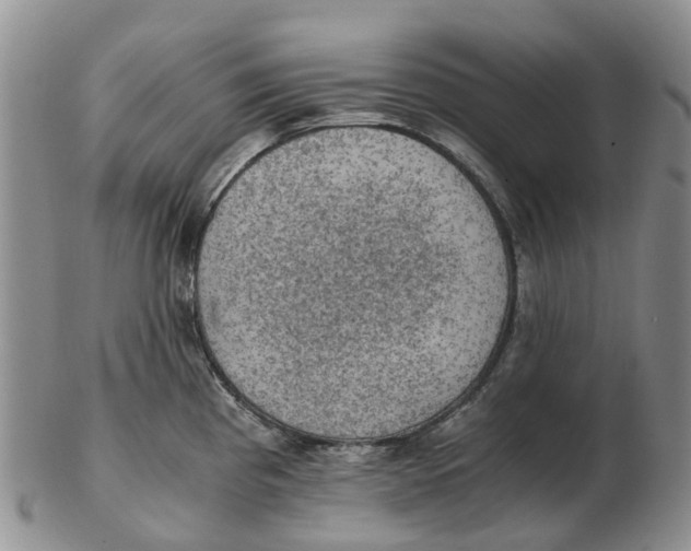 X0000103161193200809121831