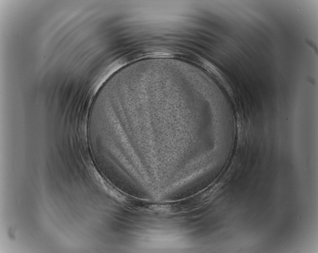 X0000103161194200809121831