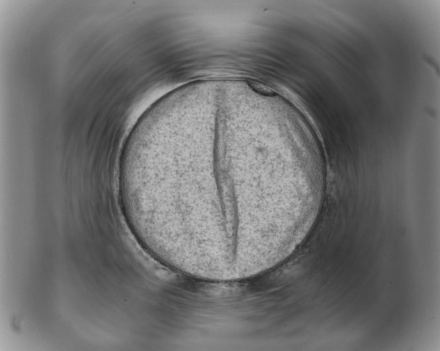 X0000103161195200809121831