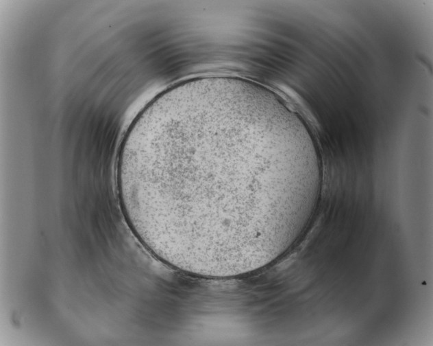 X0000103161196200809121831