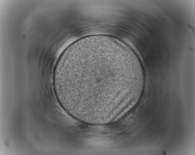 X0000103161197200809121831