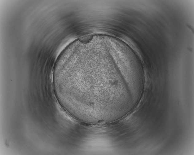 X0000103161198200809121831