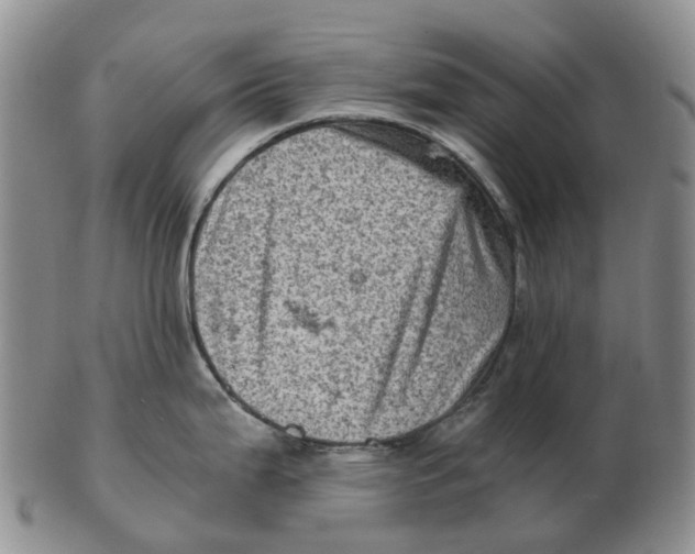 X0000103161199200809121831