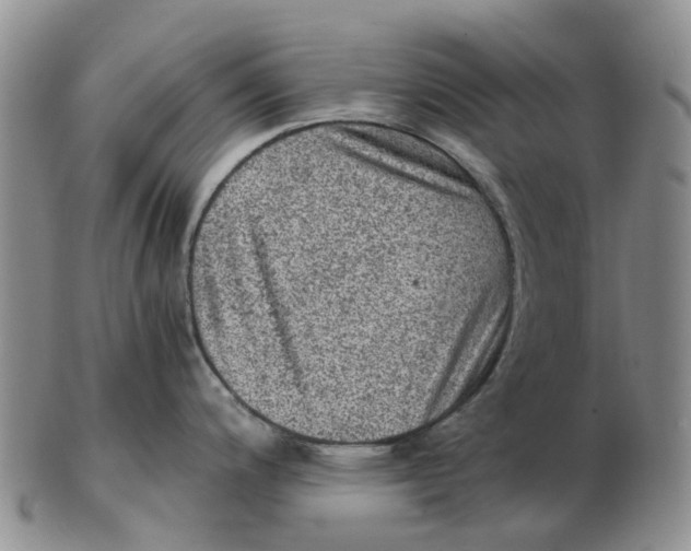 X0000103161200200809121831