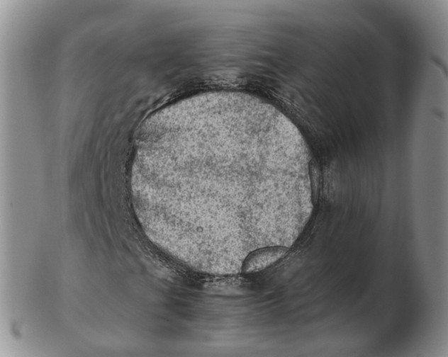 X0000103161201200809121830