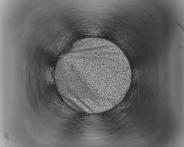 X0000103161202200809121830