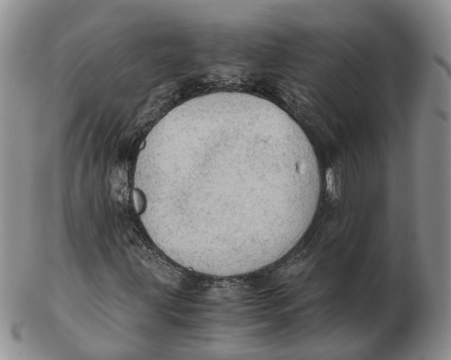 X0000103161203200809121830