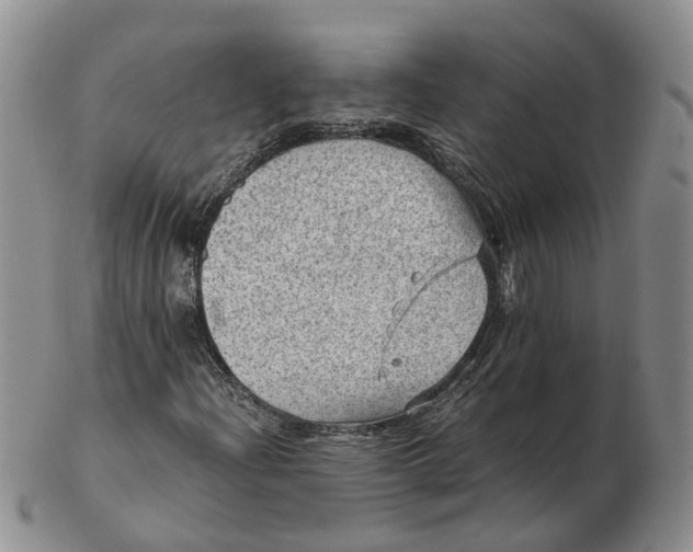 X0000103161204200809121830