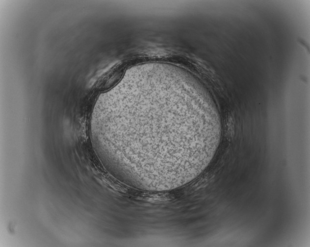 X0000103161205200809121830