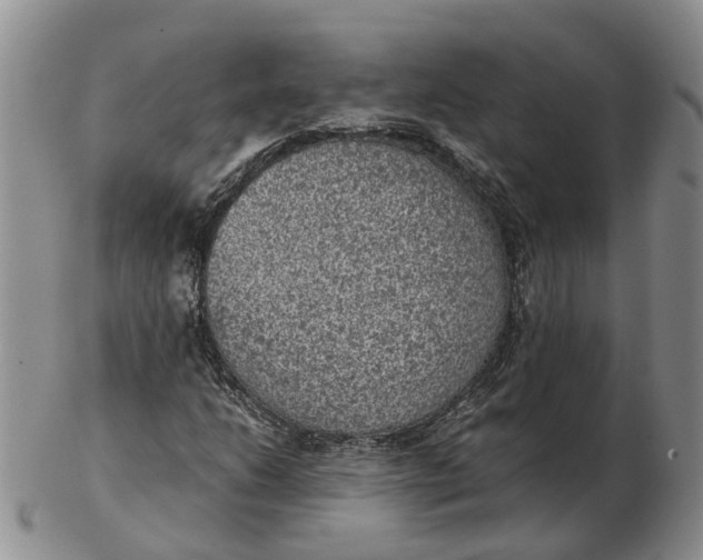 X0000103161206200809121830