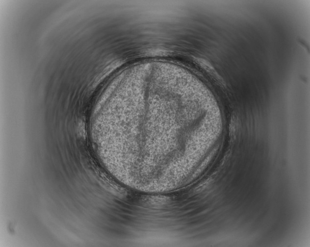 X0000103161209200809121830