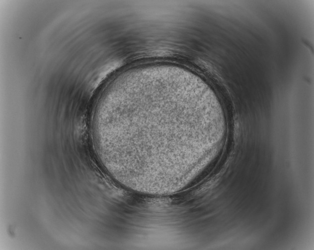 X0000103161210200809121830