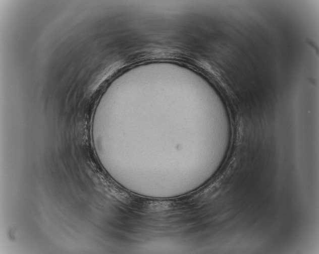 X0000103161211200809121830