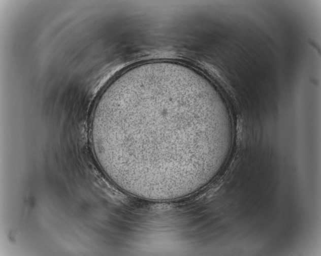 X0000103161212200809121831