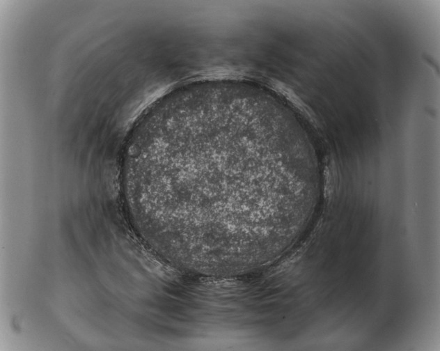 X0000103161213200809121831