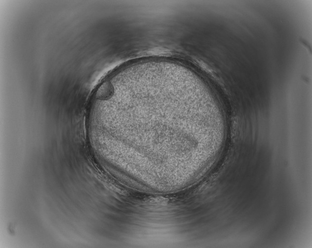 X0000103161214200809121831