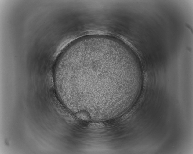 X0000103161215200809121831