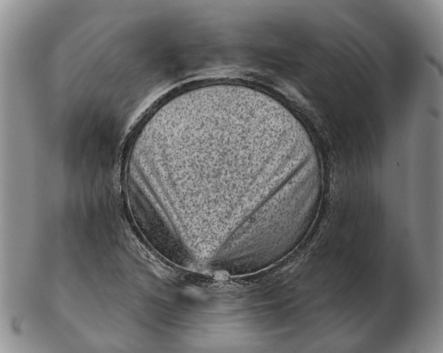 X0000103161216200809121831