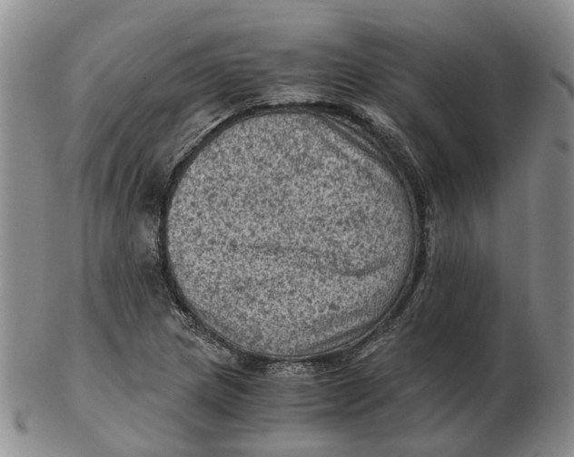 X0000103161217200809121831