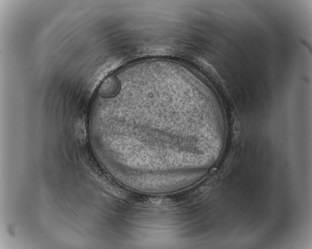 X0000103161218200809121831