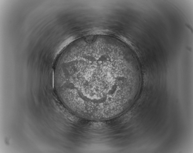 X0000103161219200809121831