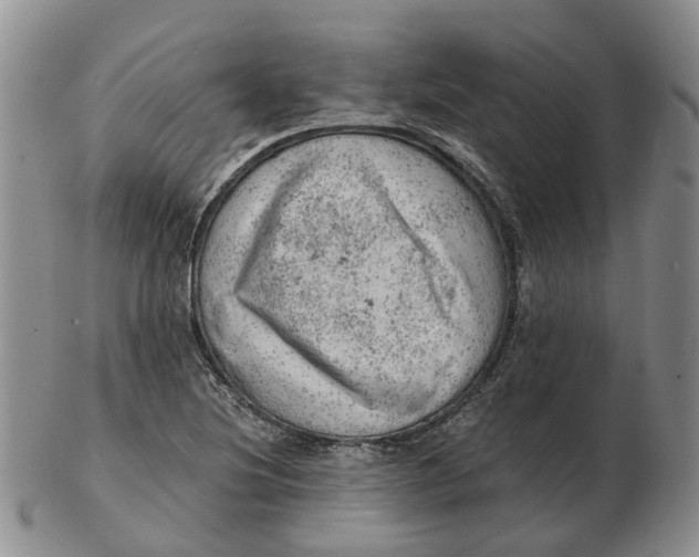 X0000103161220200809121831