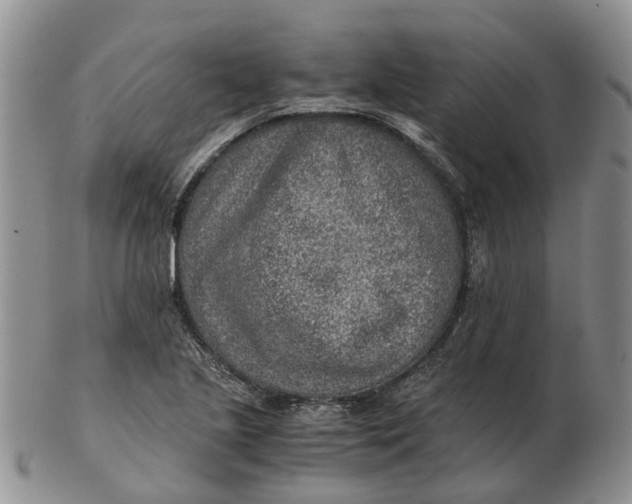 X0000103161221200809121831