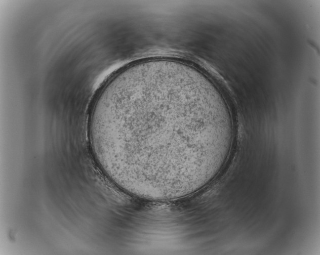 X0000103161222200809121831