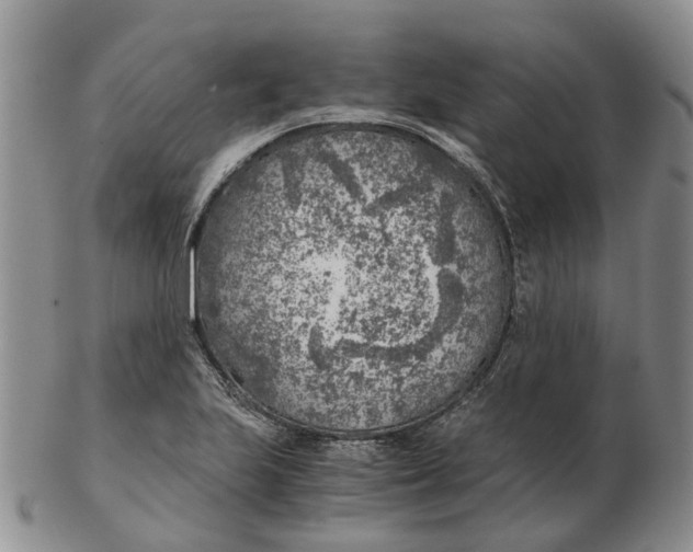 X0000103161223200809121831