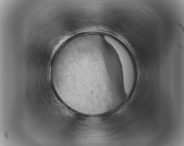 X0000103161224200809121831