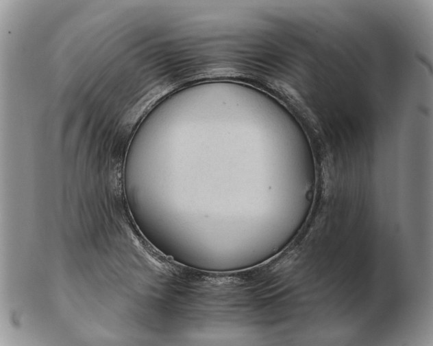 X0000103161225200809121831