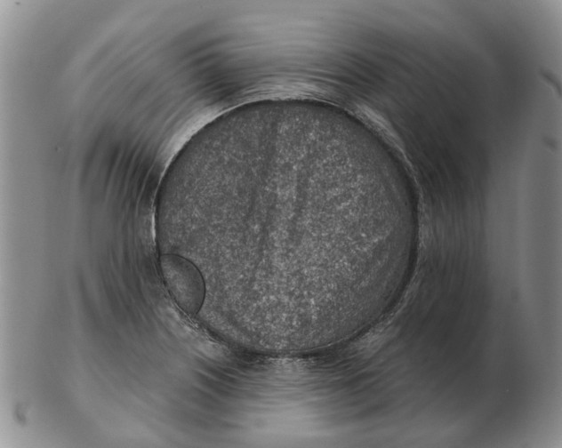 X0000103161226200809121831