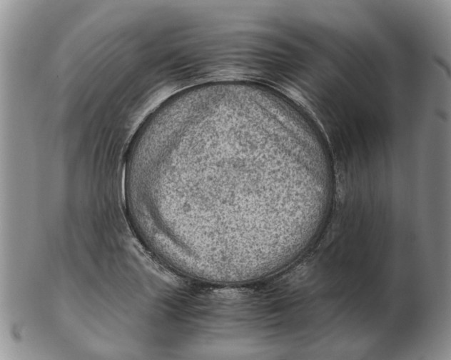 X0000103161227200809121831