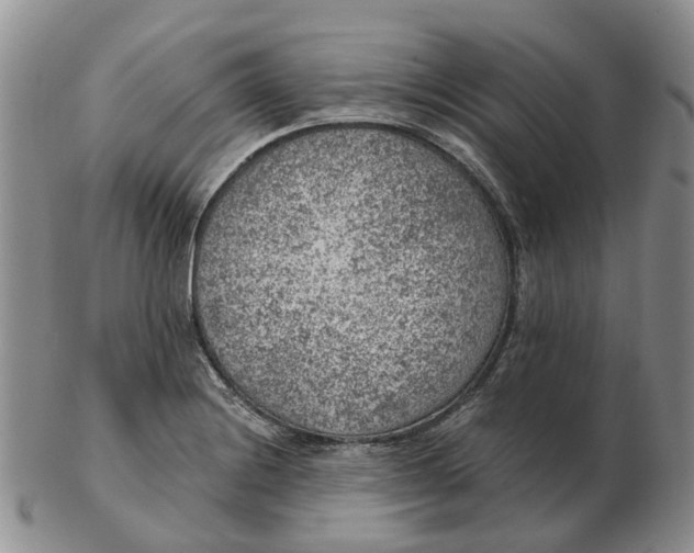 X0000103161228200809121831