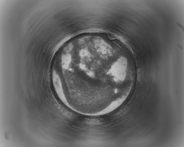 X0000103161229200809121831