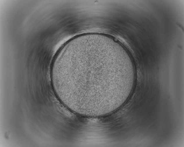 X0000103161230200809121831