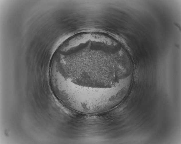 X0000103161231200809121831