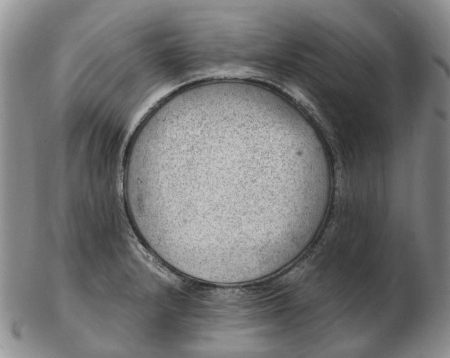 X0000103161232200809121831