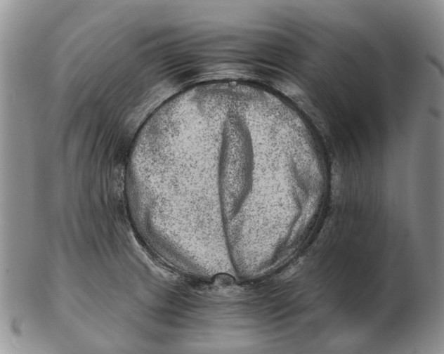 X0000103161233200809121831