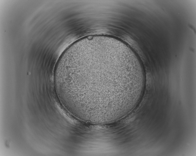 X0000103161234200809121831