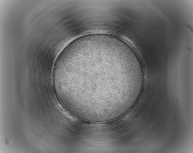 X0000103161236200809121831