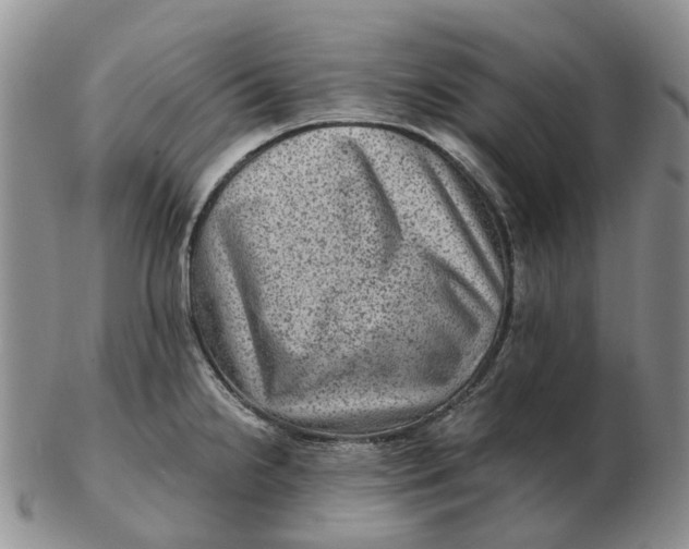 X0000103161238200809121831