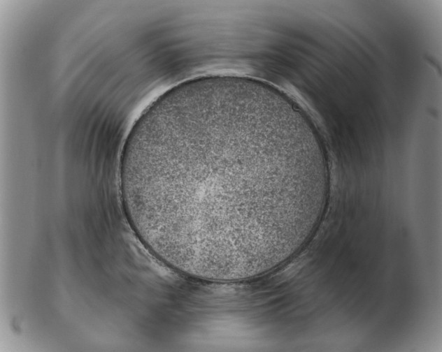 X0000103161240200809121831