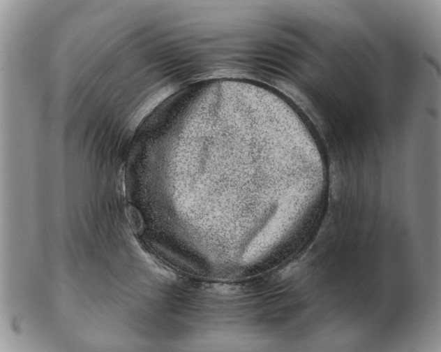 X0000103161241200809121831