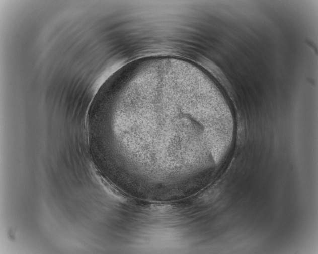 X0000103161242200809121831