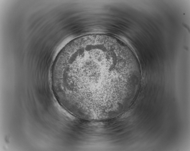 X0000103161243200809121831