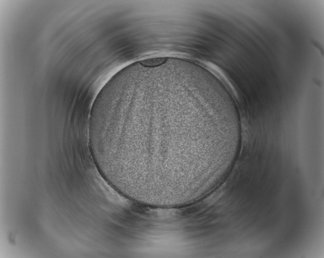 X0000103161244200809121831