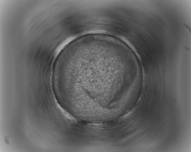 X0000103161245200809121831